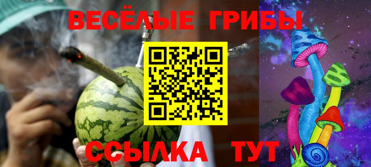 Псилоцибиновые грибы Cubensis Гудермес
