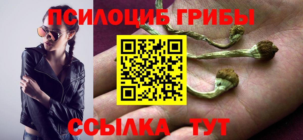 Гудермес  Псилоцибиновые грибы Magic Shrooms  Галлюциногенные грибы ЛСД  Вход с VPN 