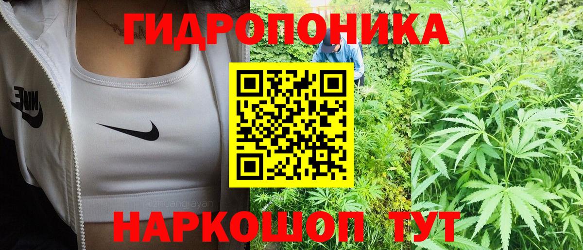 Шишки марихуана марихуана Гудермес